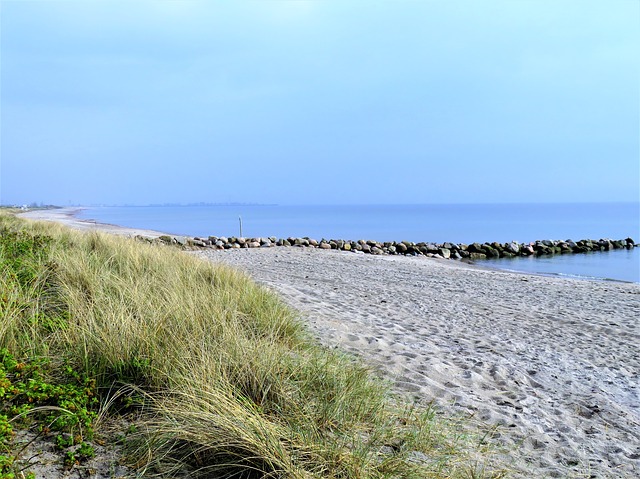 Image by Monika Schröder from Pixabay