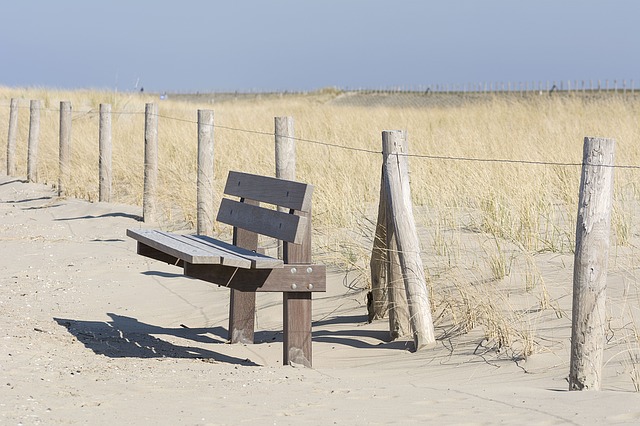 Image by Sabine van Erp from Pixabay