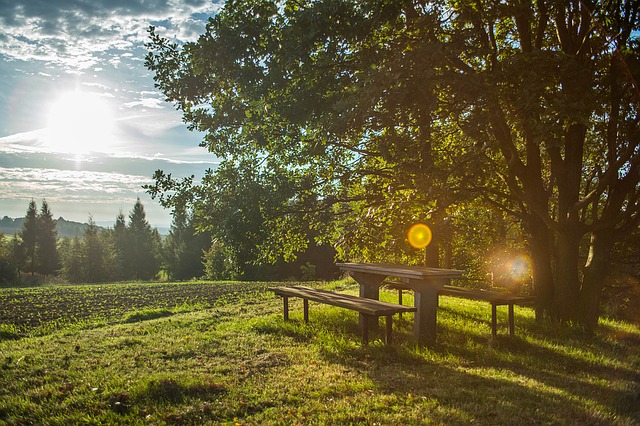 Image by Rico Löb from Pixabay