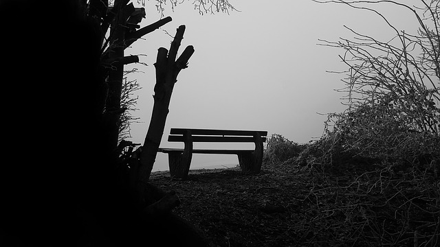 Image by O12 from Pixabay