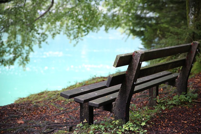 Image by Stefanie Langhammer from Pixabay