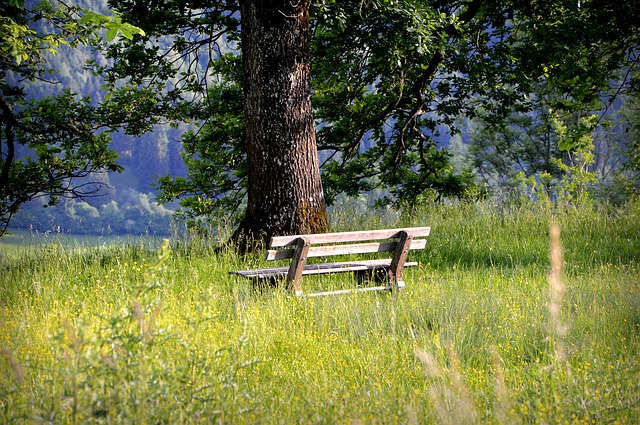 Image by PIRO4D from Pixabay