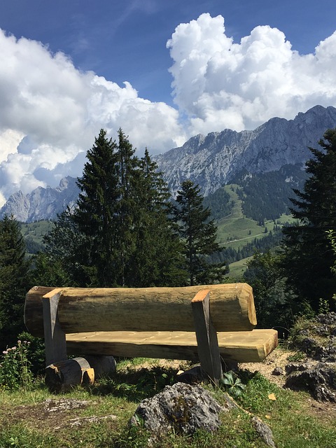 Image by J W. from Pixabay