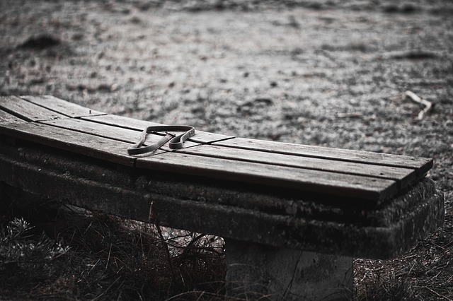 Image by Lutz Peter from Pixabay