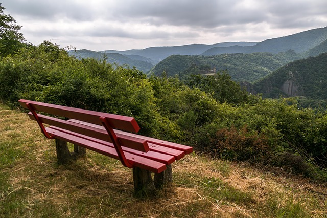 Image by Thomas B. from Pixabay