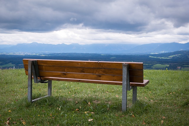 Image by Thomas B. from Pixabay