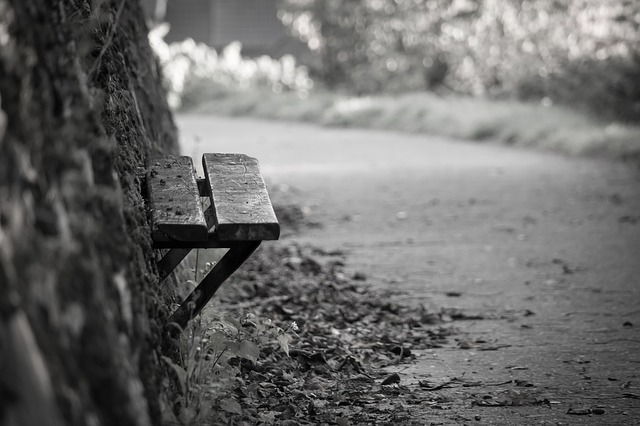 Image by Thomas B. from Pixabay