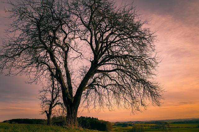 Image by Tommy_Rau from Pixabay