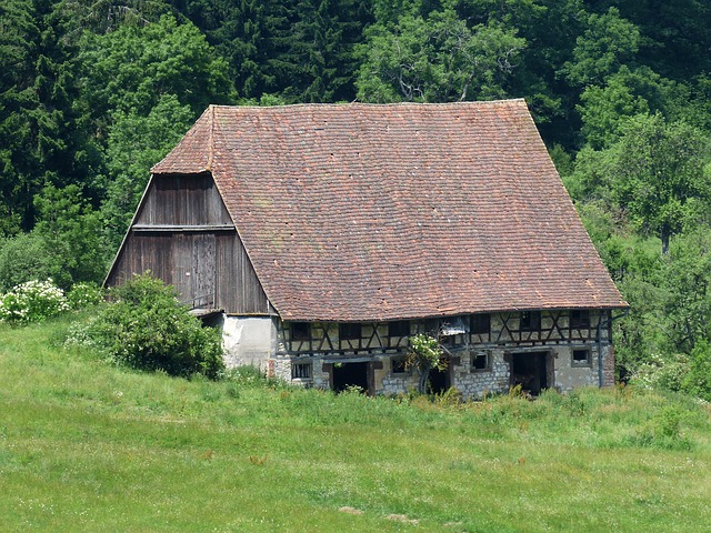 Image by Hans Braxmeier from Pixabay