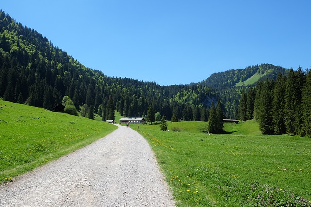Image by Anja Leid from Pixabay