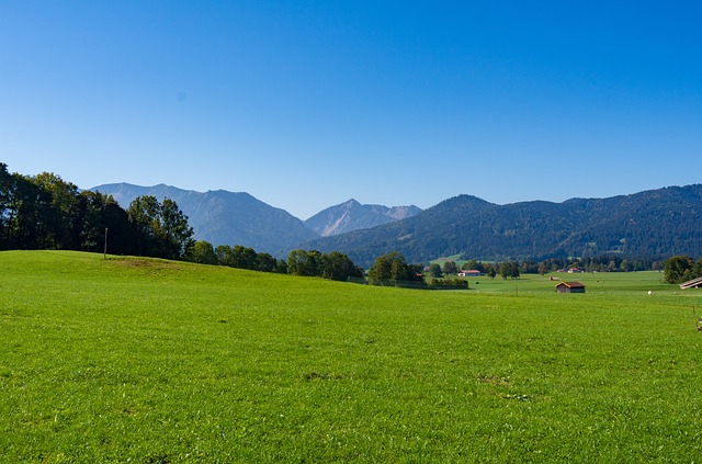 Image by Robert Forster from Pixabay