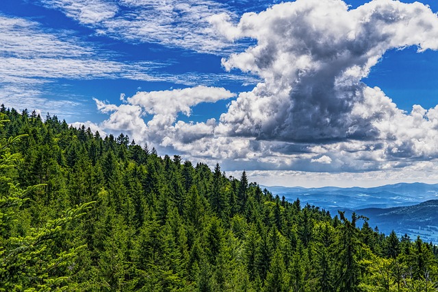 Image by O12 from Pixabay