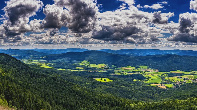 Image by O12 from Pixabay