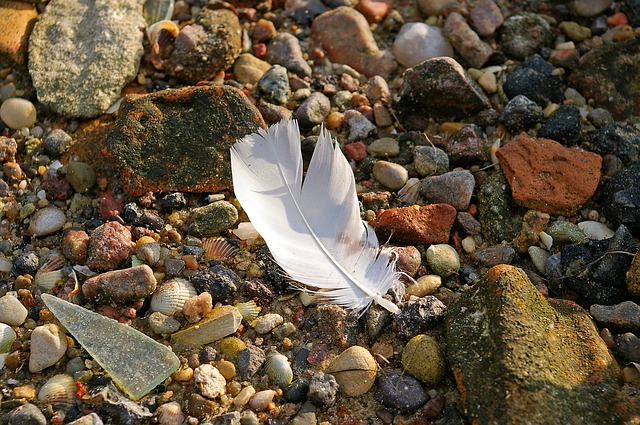 Image by Kerstin Riemer from Pixabay