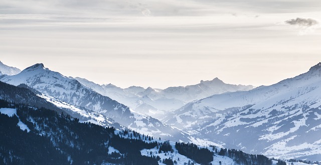 Image by fxxu from Pixabay