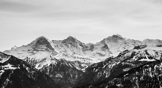 Image by fxxu from Pixabay