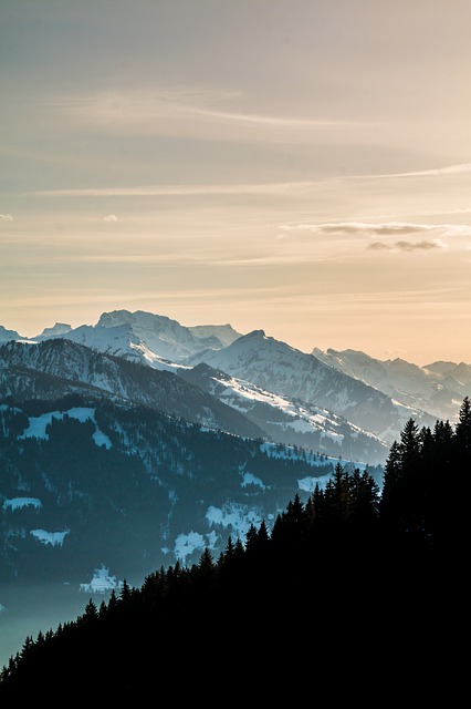 Image by fxxu from Pixabay
