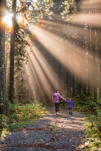 Image by James Wheeler from Pixabay