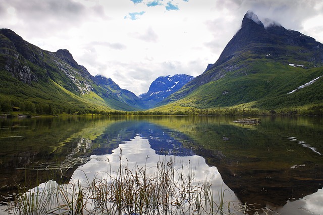Image by invisiblepower from Pixabay