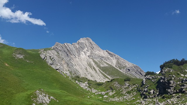 Image by Simon Steinberger from Pixabay