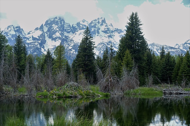 Image by GeorgeB2 from Pixabay