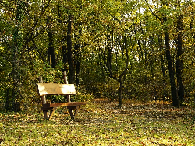 Image by laszlo zakarias from Pixabay