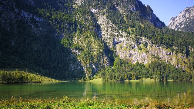 Image by Michael Römer from Pixabay