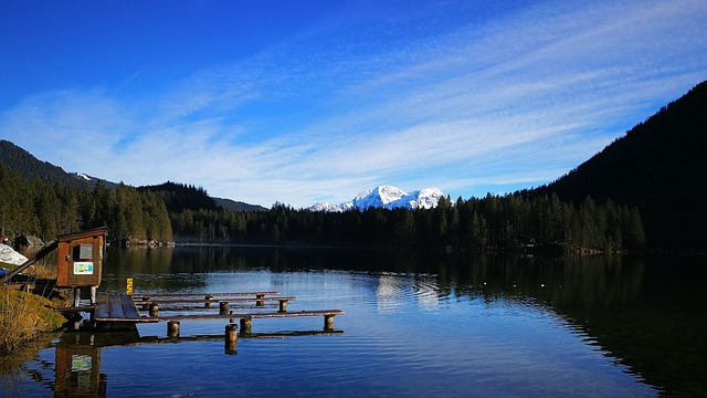 Image by Michael Römer from Pixabay