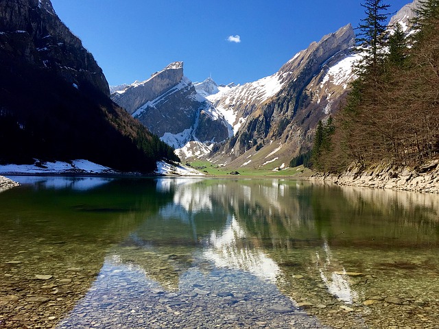 Image by Thomas-Suisse from Pixabay