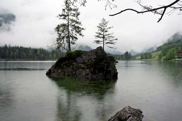Image by Olle August from Pixabay