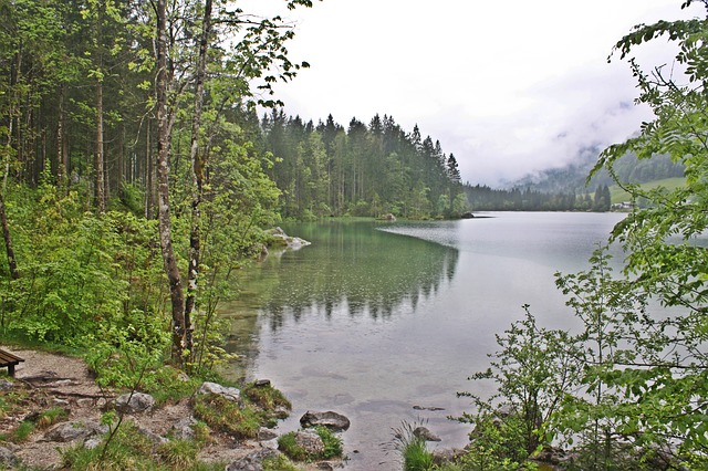 Image by Olle August from Pixabay