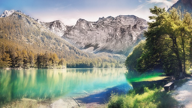 Image by Simon Matzinger from Pixabay