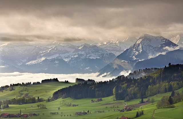 Image by ElsnerCladu from Pixabay
