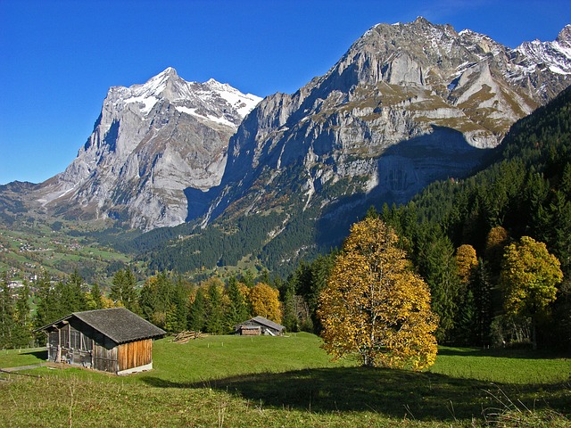 Image by Albert Häsler from Pixabay