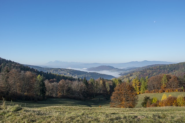 Image by Photo Mix from Pixabay