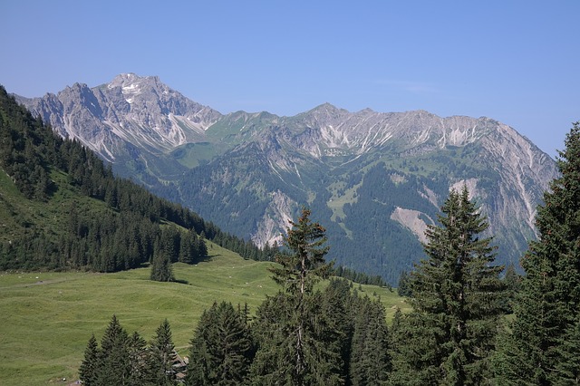 Image by Hans Braxmeier from Pixabay