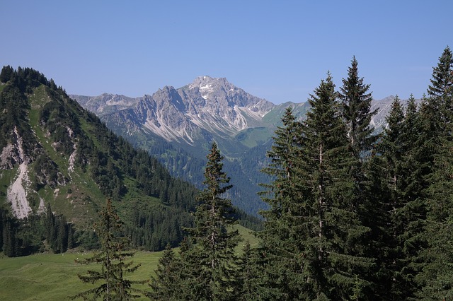 Image by Hans Braxmeier from Pixabay