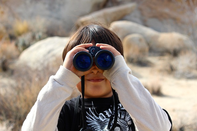 Image by nightowl from Pixabay