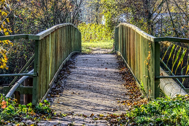 Image by Markus Distelrath from Pixabay