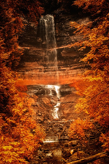 Image by angelabeauchamp79 from Pixabay