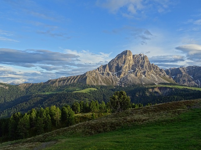Image by Danny Schreiner from Pixabay