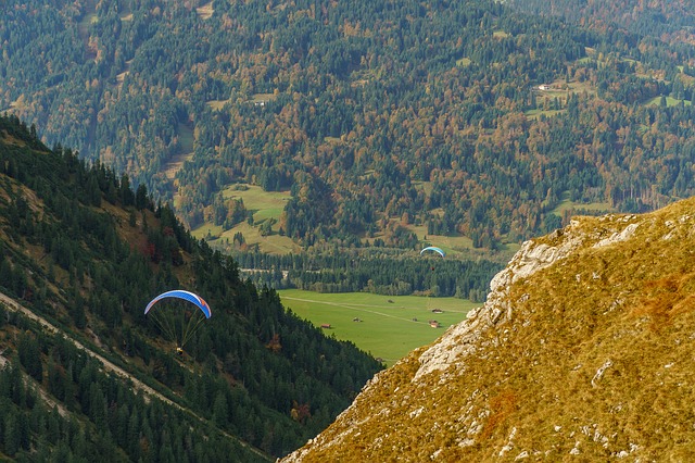 Image by Norbert Waldhausen from Pixabay