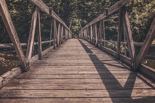 Image by Ryan McGuire from Pixabay
