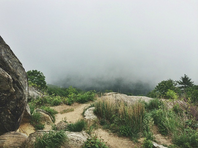 Image by Free-Photos from Pixabay