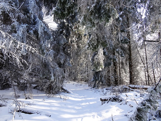 Image by Krzysztof Jaracz from Pixabay