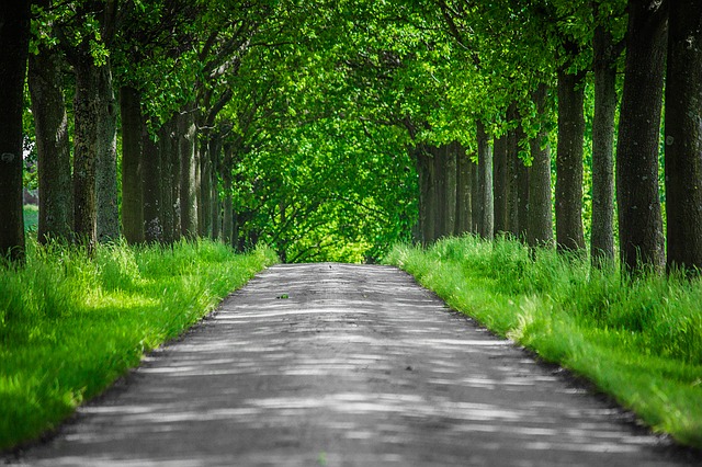 Image by Susanne Pälmer from Pixabay