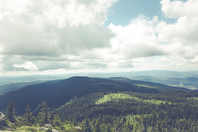 Image by Markus Spiske from Pixabay