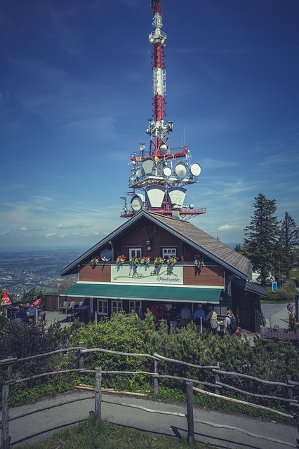Image by Markus Spiske from Pixabay