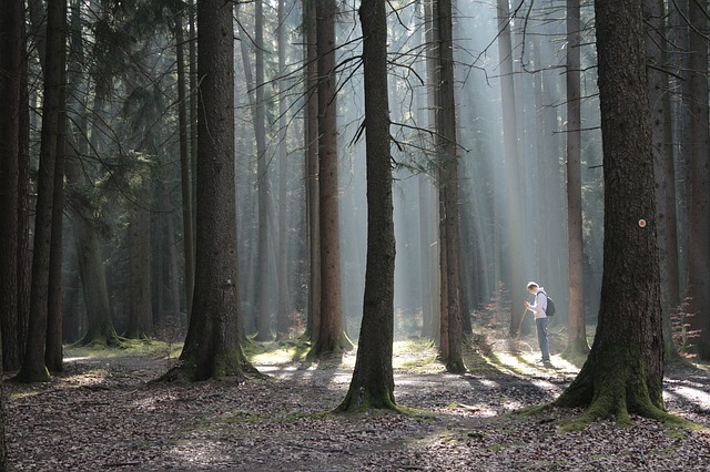 Image by Leila Schmidt from Pixabay