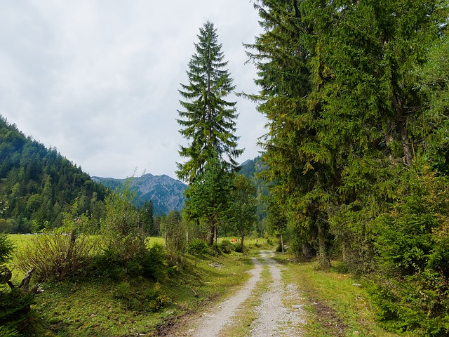 Image by Marc Benedetti from Pixabay